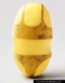 /album/nadherne-kreace-jidla/sexy-potato-jpg/